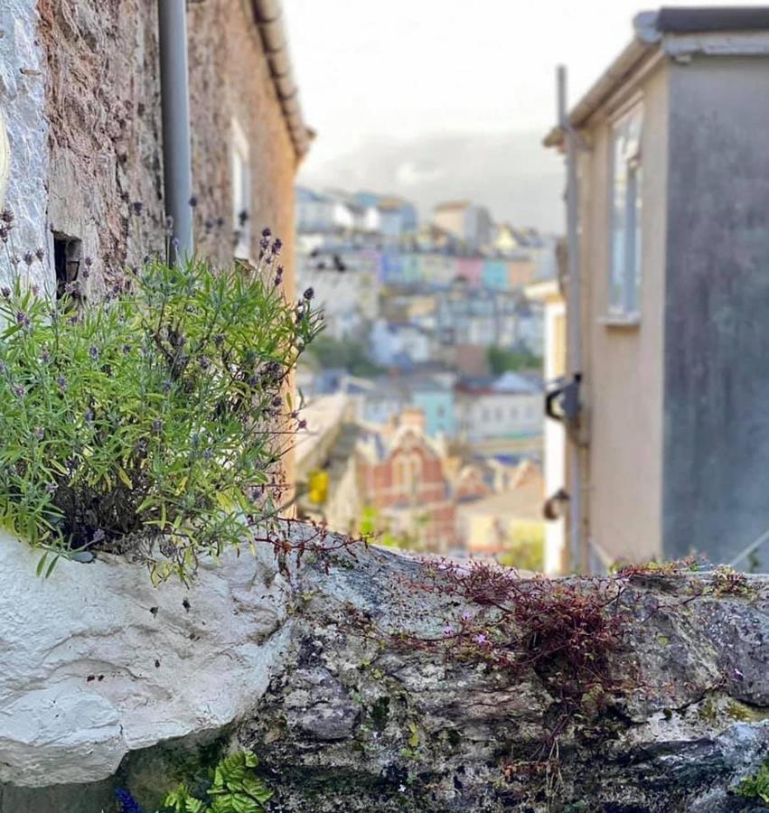 Saltys Cottage, Brixham - 2 Min Walk To The Harbour Εξωτερικό φωτογραφία